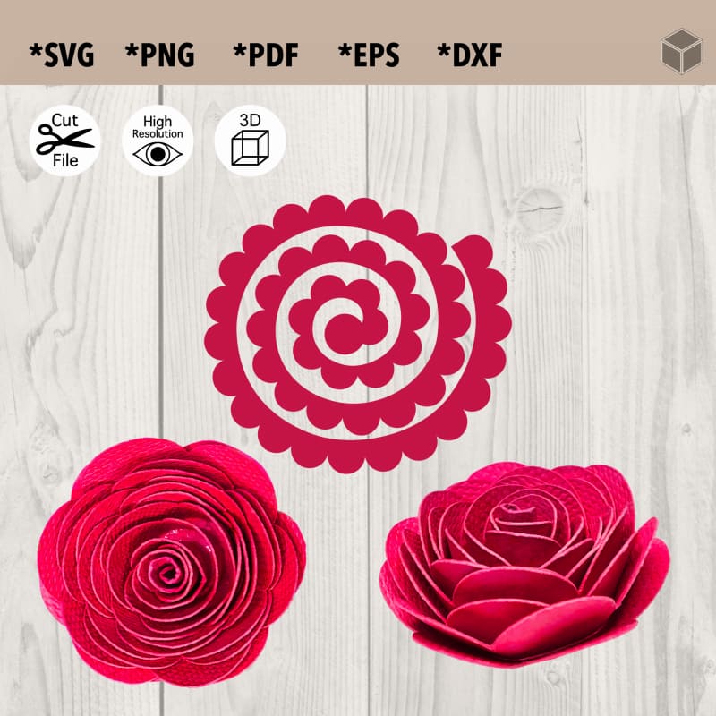 3D Rolled Paper Rose SVG Cut File for Cricut + Instructions